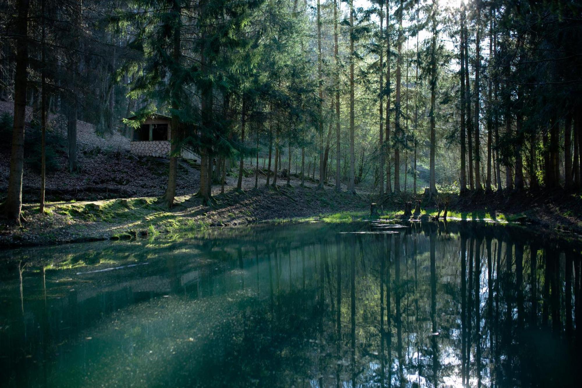 Fh "Baeren Ecke" Am See Im Hessischen Bergland Kirchheim  Extérieur photo